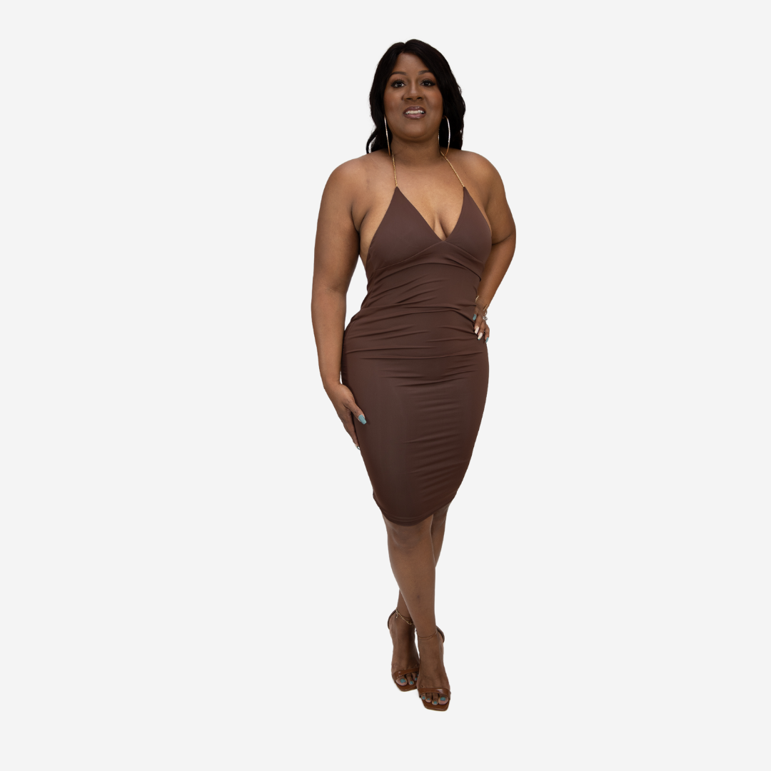 All I Want Mini Dress (brown)